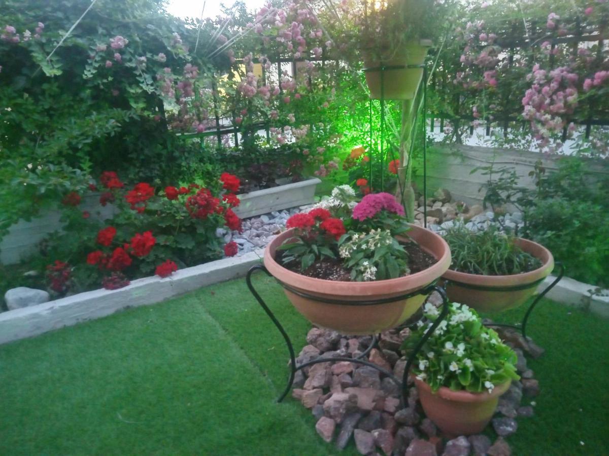 Niki Stavros Comfort Studios מראה חיצוני תמונה