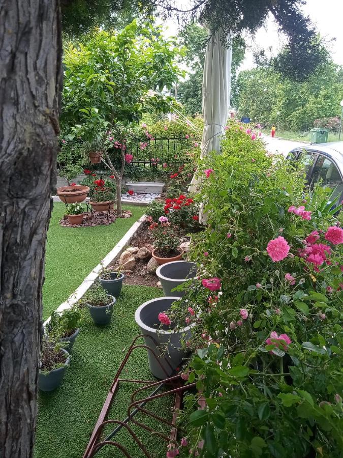 Niki Stavros Comfort Studios מראה חיצוני תמונה